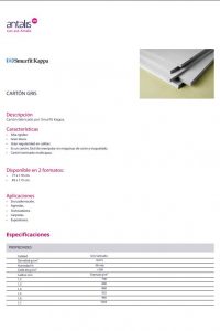 TS_SP_CARTON_SMURFITKAPPA